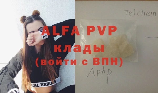 индика Бугульма