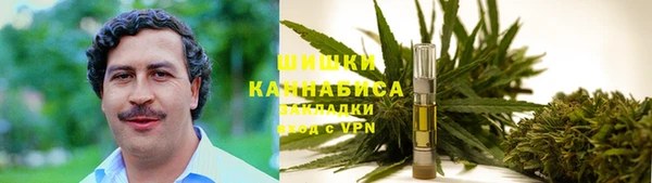 ECSTASY Бронницы