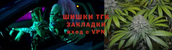 индика Бугульма