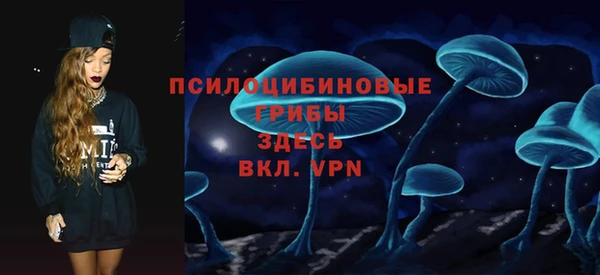 индика Бугульма
