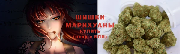 индика Бугульма