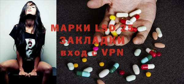 индика Бугульма