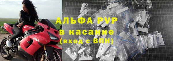 шишки Богородицк