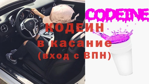 индика Бугульма
