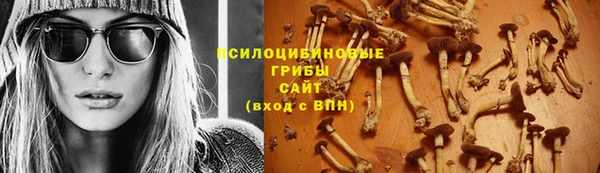 ECSTASY Бронницы